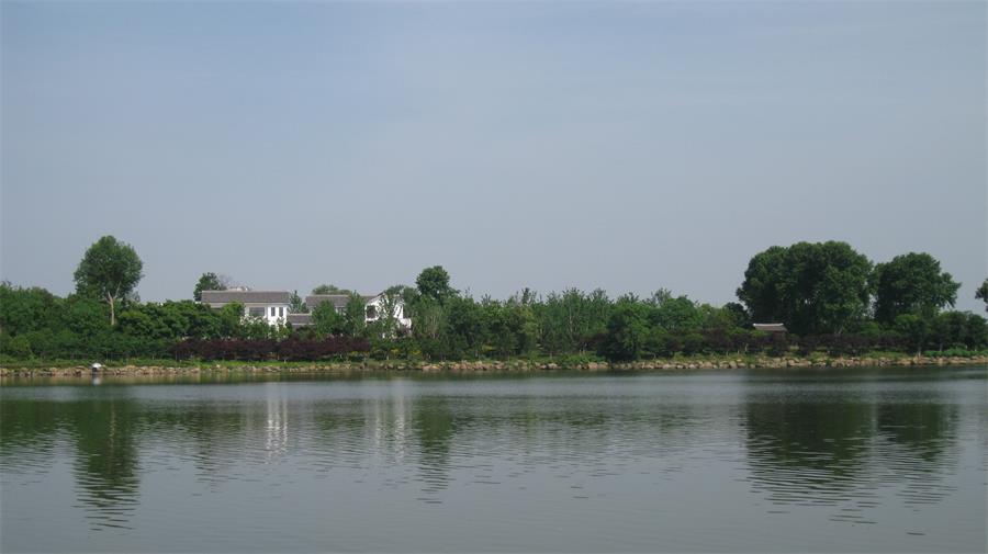 HC50智能高精度差壓變送器